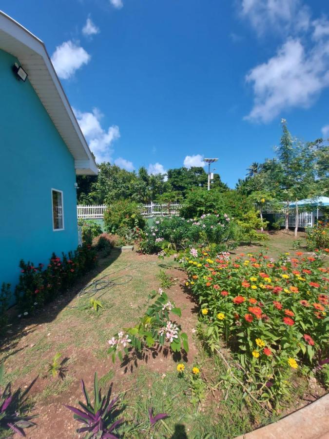 Blue Lizard House Villa San Andres  Luaran gambar