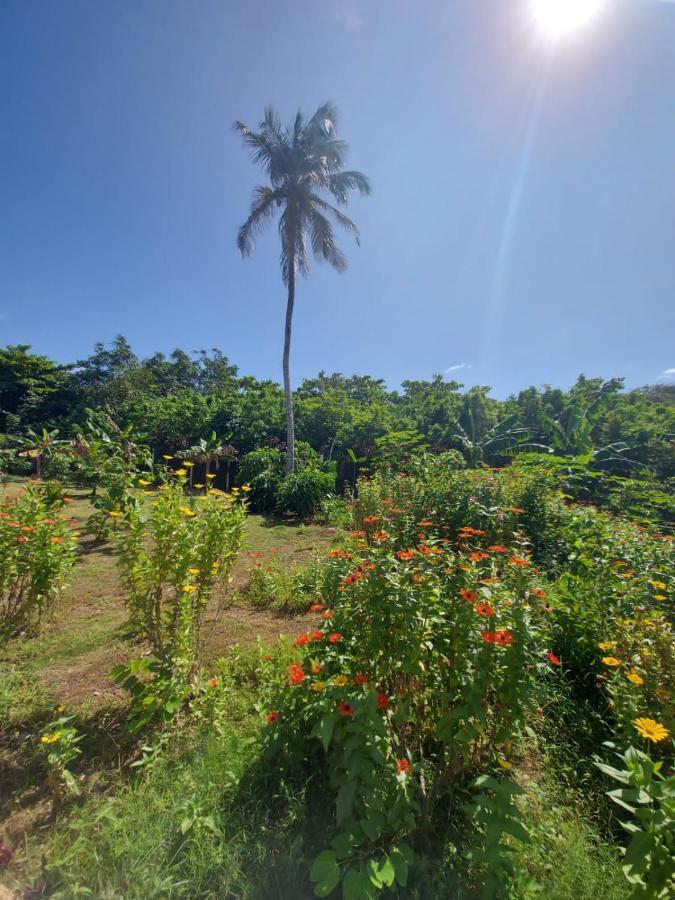 Blue Lizard House Villa San Andres  Luaran gambar