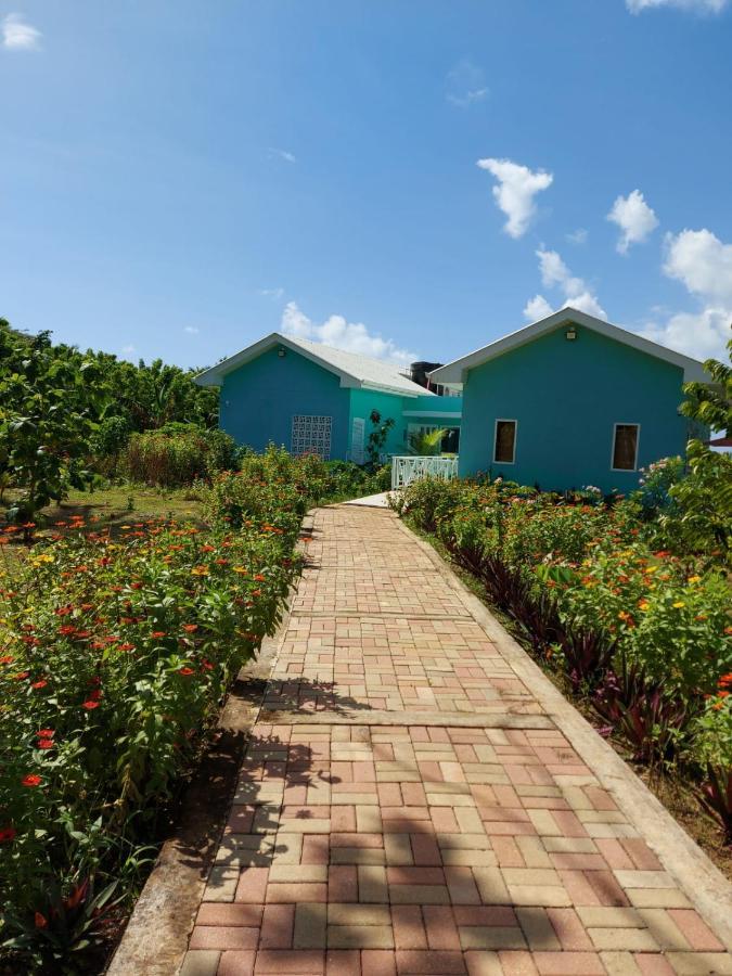 Blue Lizard House Villa San Andres  Luaran gambar