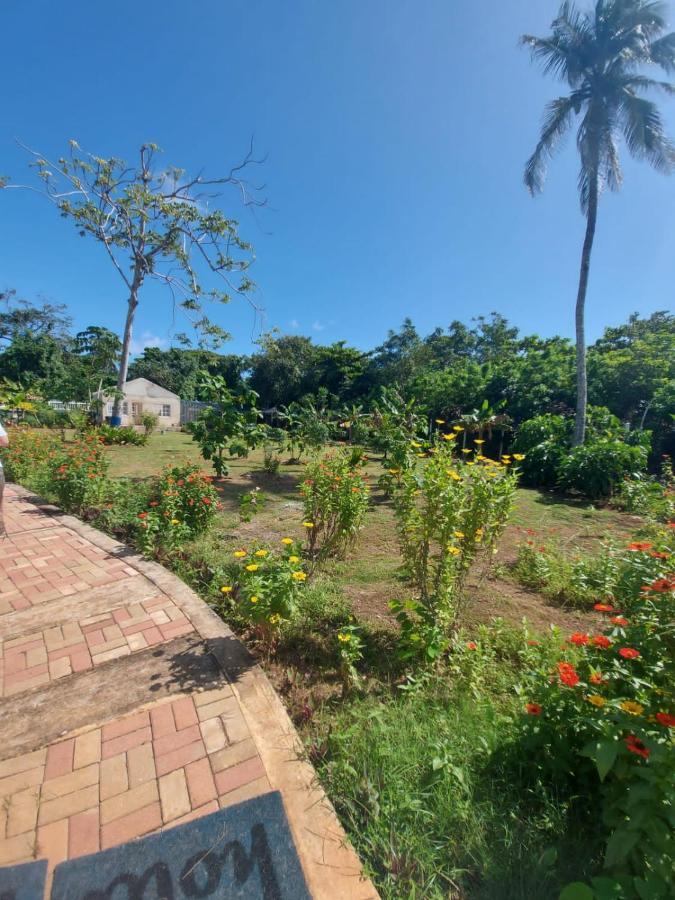 Blue Lizard House Villa San Andres  Luaran gambar