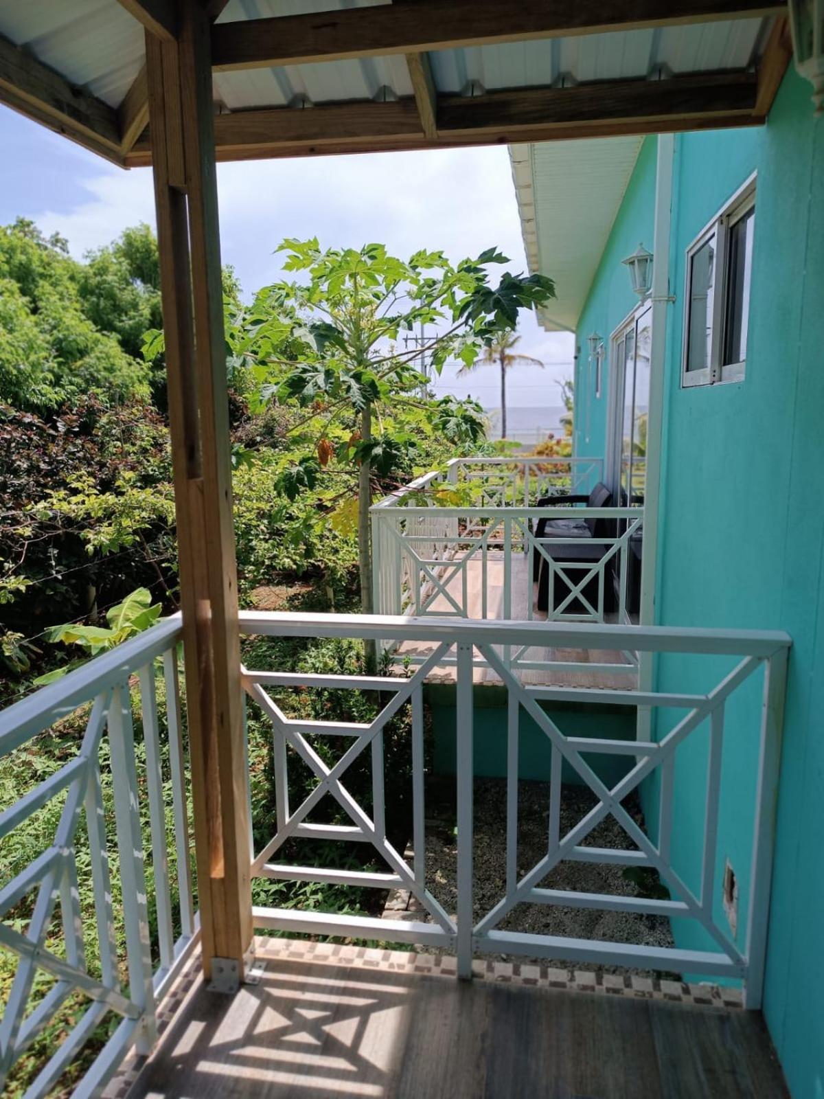 Blue Lizard House Villa San Andres  Luaran gambar
