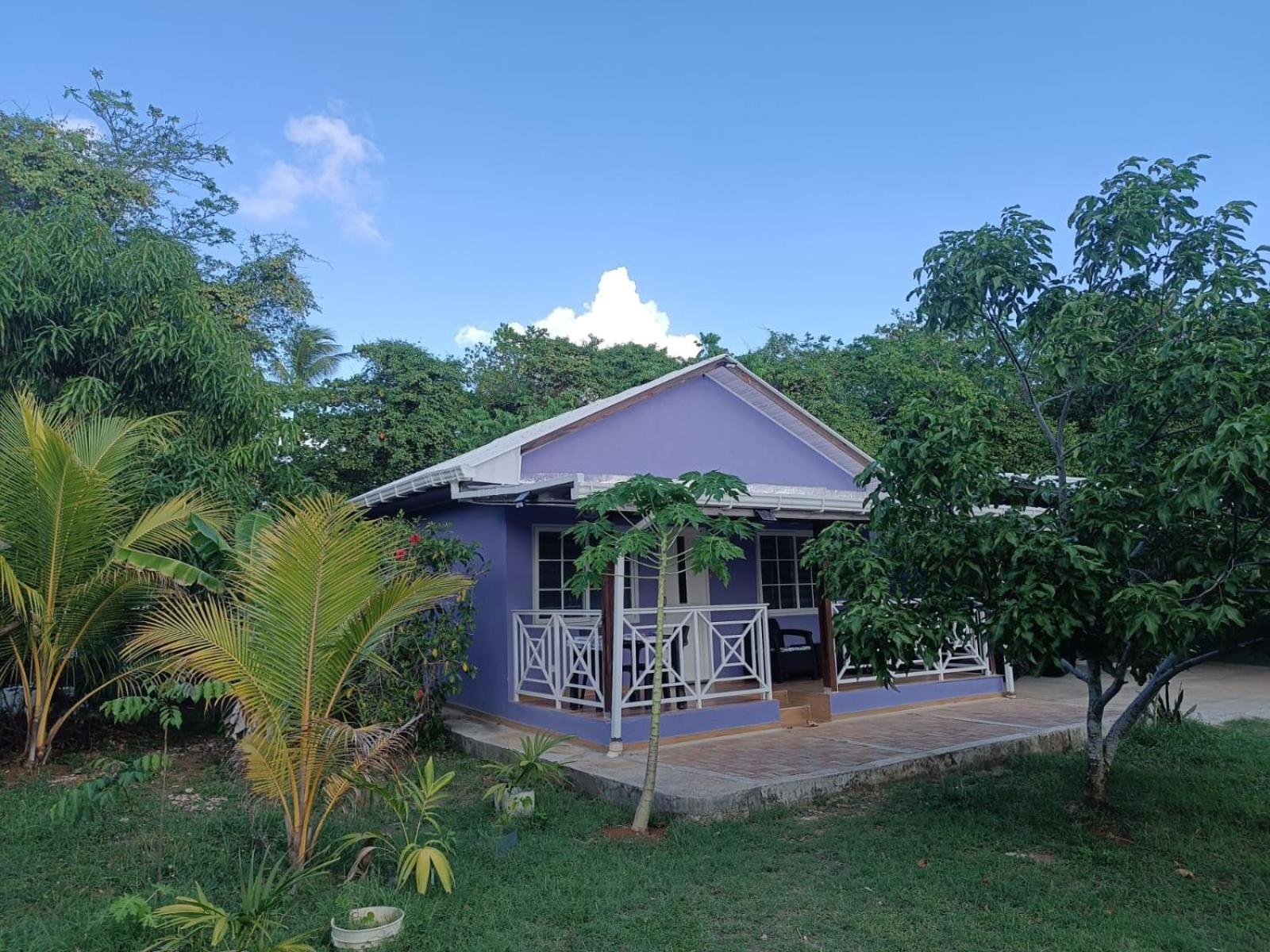 Blue Lizard House Villa San Andres  Luaran gambar