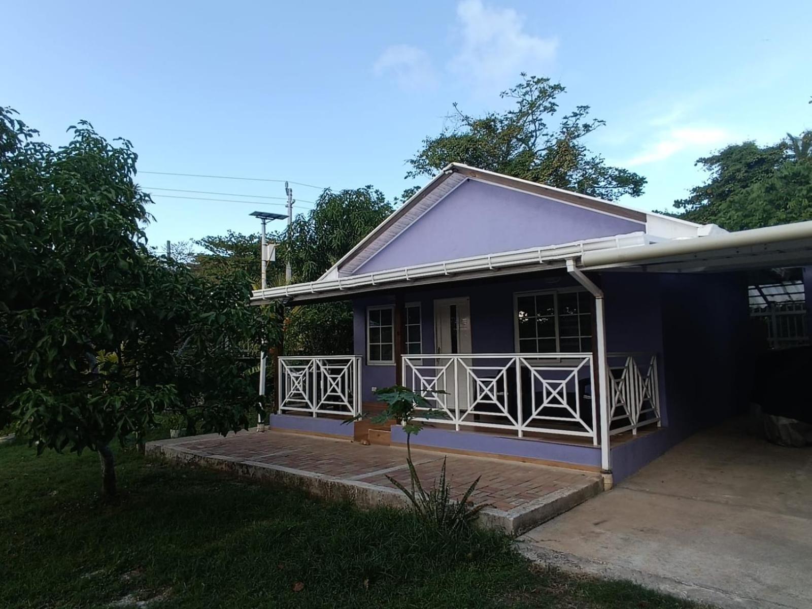 Blue Lizard House Villa San Andres  Bilik gambar